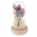 Handmade Dried Flower Gomphrena Globosa Glass Bottle MicroLandscape   302795836888